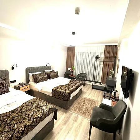 酒店 Taksim Didriot 伊斯坦布尔